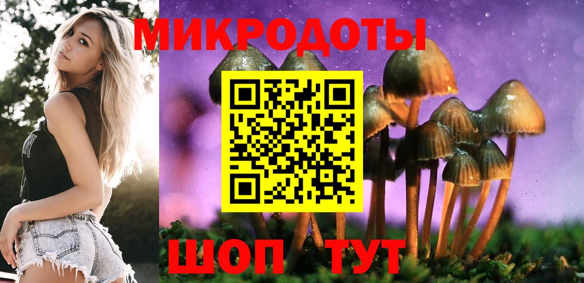 купить наркотики цена  Вход с VPN  Псилоцибиновые грибы Cubensis  Азов  Псилоцибиновые грибы Psilocybine cubensis 